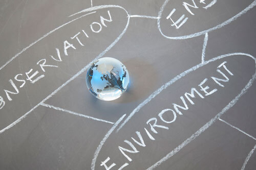 Species Status Assessments under the Endangered Species Act