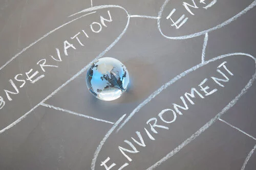 The Role of Conceptual Ecological Models in Implementing the Federal Endangered Species Act