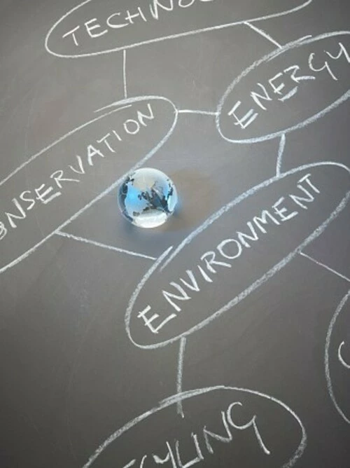 D.C. Circuit Shuts Down Challenge to Species Status Assessments