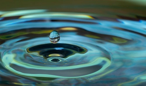 California Announces Lawsuit over Federal Government's Biological Opinions for Central Valley Project and State Water Project